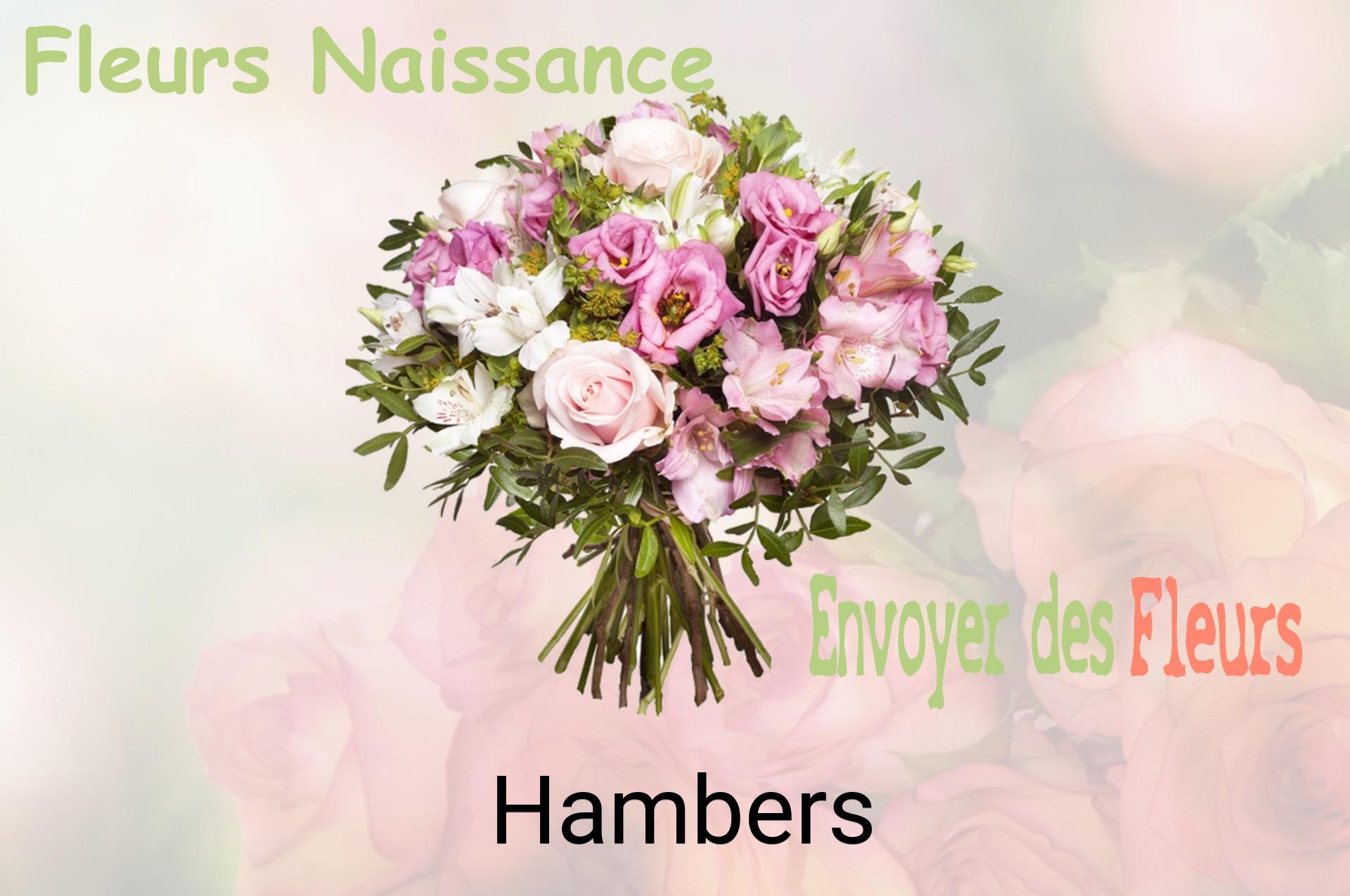 Bouquet de fleurs de naissance livré à Hambers